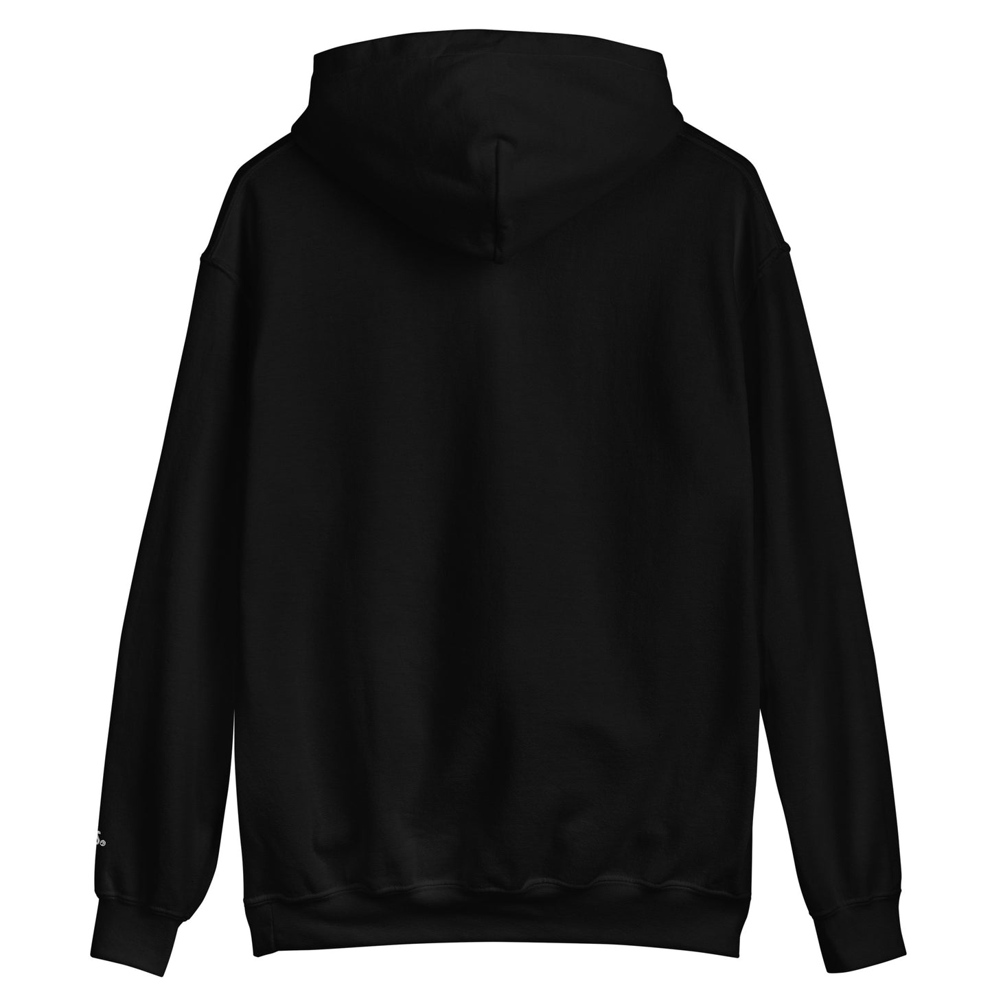 Studio Saints logo embroidery hoodie